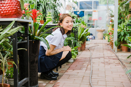 石家庄铁道大学校园写真花园内可爱的女生背景