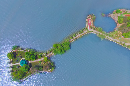 湖景俯视俯瞰武汉东湖吉他造型的湖心岛背景