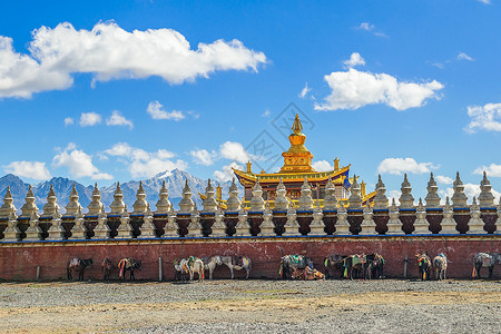 藏式宫廷素材蓝天白云下的塔公寺背景