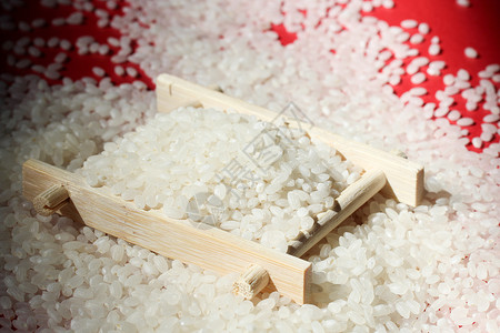 东北珍珠米背景图片
