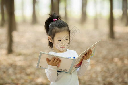 女孩在阅读看书背景图片