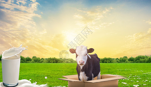 钙锌世界牛奶日设计图片