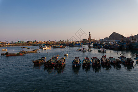 渔人码头跟踪渔船海鸥高清图片