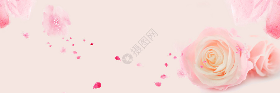 一朵粉色花花瓣背景设计图片