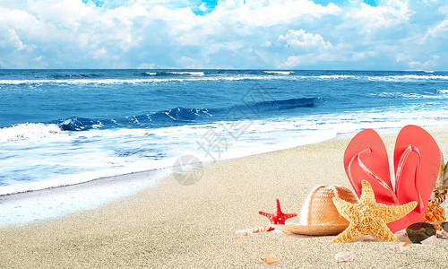 螃蟹与贝壳夏日沙滩设计图片