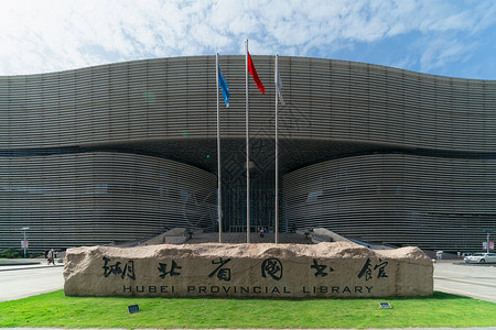 湖北省图书馆背景