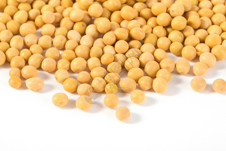 黄豆运输粮食高清图片