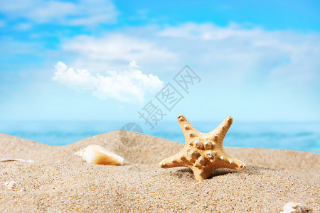 海水阳光夏日沙滩设计图片