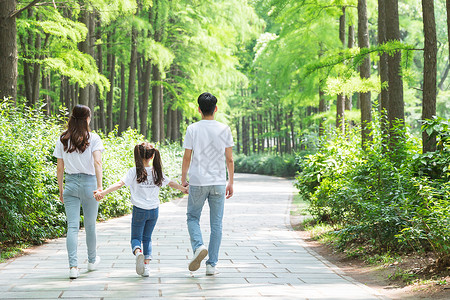 父亲节牵手一家人公园牵手散步背景