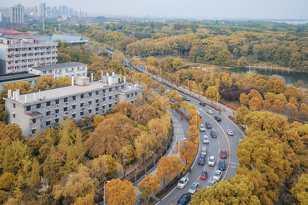 堵车俯视俯瞰城市秋天的道路背景