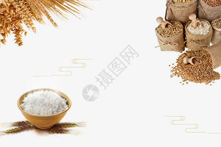 五谷米饭芒种设计图片