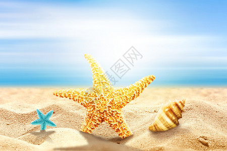 热气球海边夏天沙滩海边海星设计图片