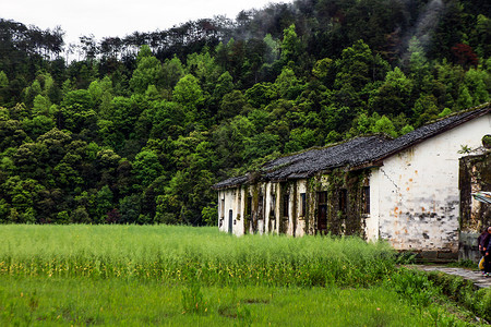 竹筏小屋中国风的婺源风光背景