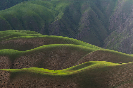 新疆喀拉峻人体草原背景图片