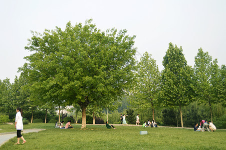 济南大学校园背景图片
