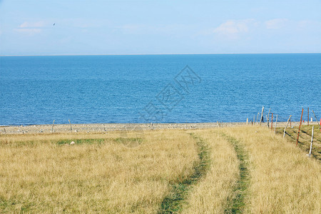 青海湖秋景图片