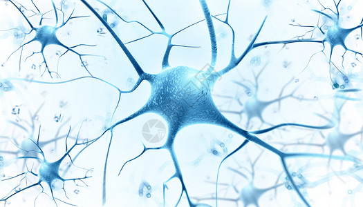 细胞分化神经分析素材高清图片