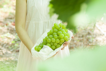 绿葡萄背景图片
