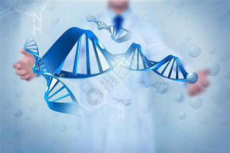 无创DNA研究设计图片
