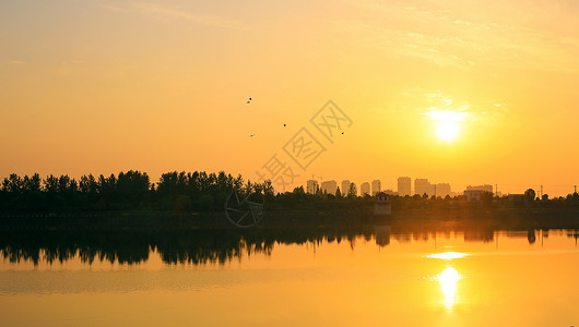 河湖治理夏日晨光背景