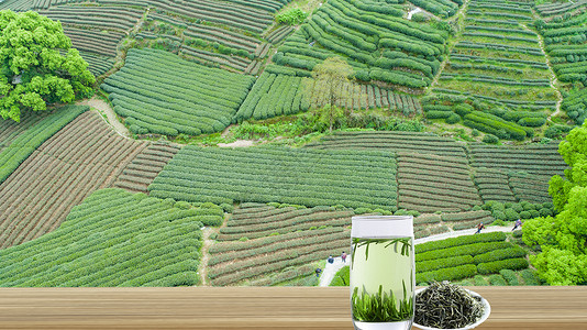 茶自然茶设计图片