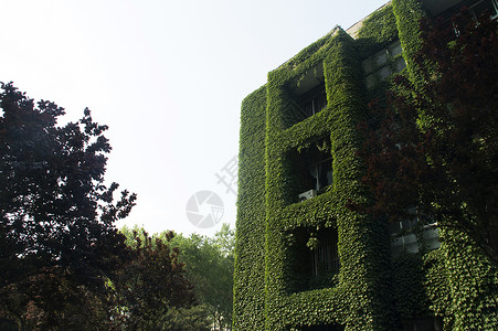 秦皇岛燕山大学校园背景图片