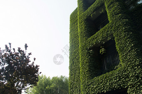 秦皇岛燕山大学校园夏天高清图片素材