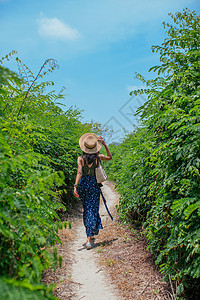 太阳镜幸福的度假女性背景