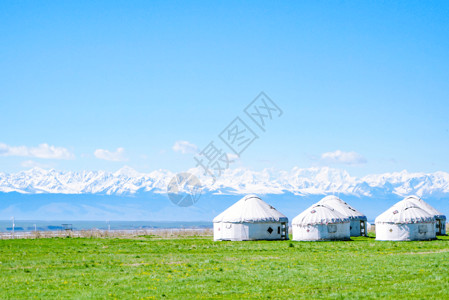 新疆少数民族草原上的蒙古包背景