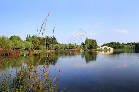 江苏常熟尚湖夏景背景图片