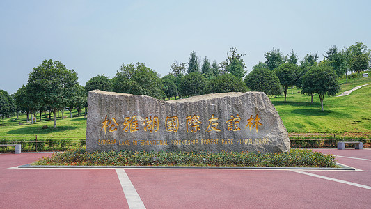 松雅湖景区湖南松雅湖国际友谊林背景