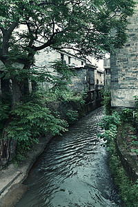 渼陂湖江西渼陂古村风景风光背景