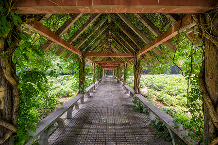 藤条素材园林走廊设计背景