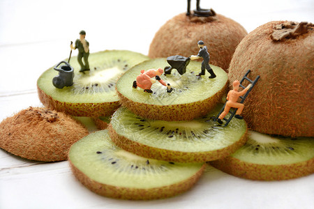 食物模型水果猕猴桃背景
