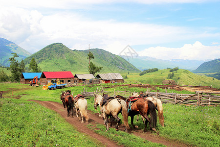 大山远景青山远景马儿奔驰背景