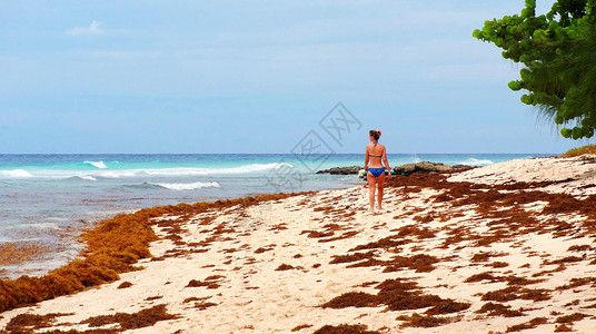 沙滩上的红色海草与少女背景