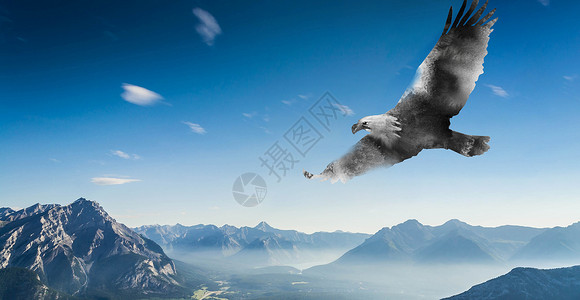 翱翔的雄鹰企业文化背景设计图片