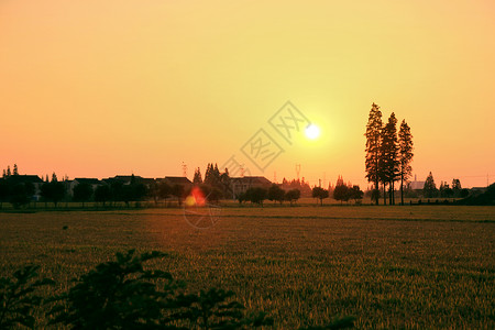 田园夕照背景图片