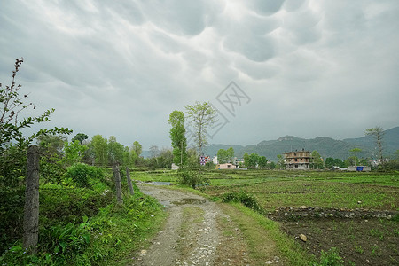 尼泊尔博卡拉乡村田野图片