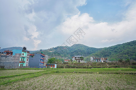 尼泊尔博卡拉乡村田野背景