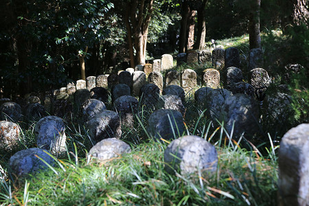 腾冲国殇墓园背景图片