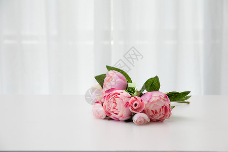 桌上的一束花背景图片
