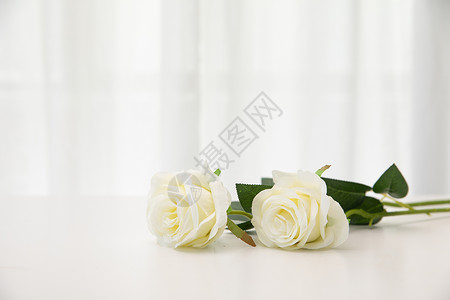 桌子上的白玫瑰高清图片