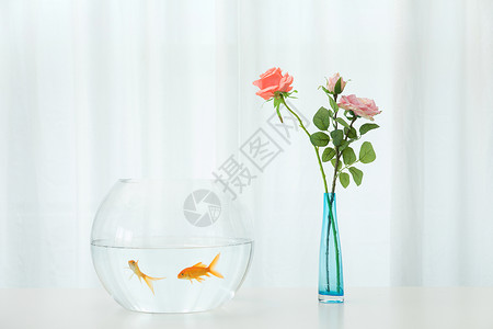 桌子上的金鱼与花束高清图片