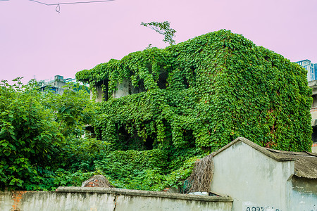 房子涂鸦素材爬山虎的房子背景