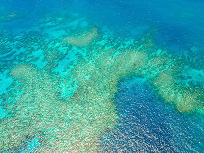 澳大利亚珊瑚礁图片