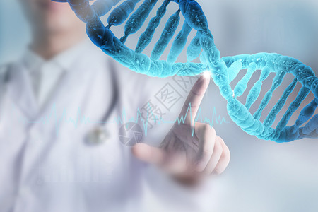 检测细胞DNA研究设计图片