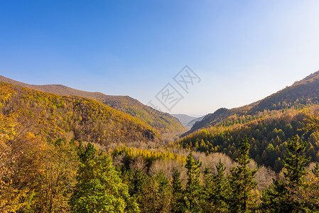 北方秋天秋色背景