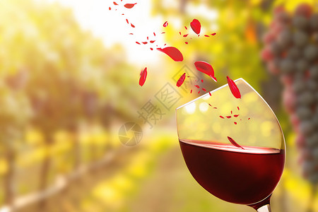 秋天葡萄园红酒设计图片