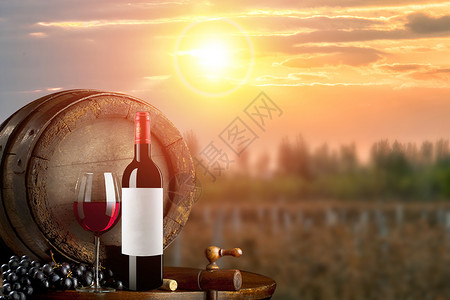 巴伐利亚庄园葡萄酒设计图片